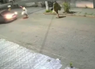 Motorista reage a tentativa de assalto e atropela dois bandidos