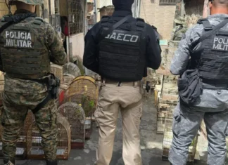 Maior traficante de aves do país é preso em operação policial e investigado por lavagem de dinheiro