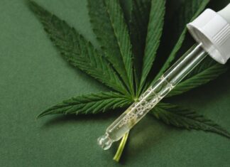 AGU solicita 180 dias adicionais para regulamentar cultivo e uso medicinal da cannabis