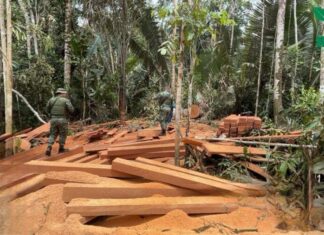 Ipaam aplica mais de R$ 5 milhões em multas na 5ª etapa da Operação Tamoiotatá 5