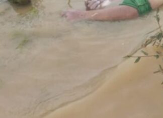 Corpo não identificado é encontrado em área de mata em Careiro Castanho no Amazonas