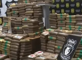 Operação em sítio apreende R$ 24 Milhões em skunk no interior do Amazonas