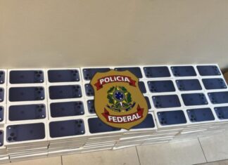 Homem é preso com mais de 1,5 mil celulares escondidos sob sacos de batata na BR-174
