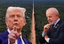 Trump acusa governo Lula de derrubar árvores para construção de ‘estrada para ambientalistas’