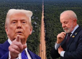 Trump acusa governo Lula de derrubar árvores para construção de ‘estrada para ambientalistas’