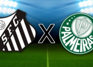 Palmeiras joga hoje contra o Santos para se manter no topo do brasileirão
