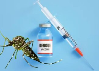 Brasil ganha 1ª primeira vacina de dose única contra a dengue