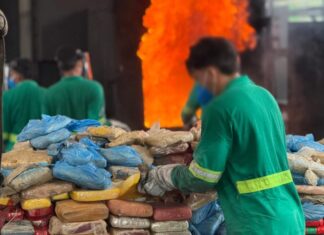 Polícia Civil do Amazonas incinera quatro toneladas de entorpecentes apreendidos ao longo deste ano