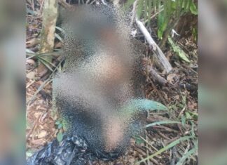 Corpo amarrado e com objeto enfiado no ânus é encontrado em área de mata no Tarumã