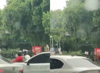 Árvore cai e atinge carro após forte chuva na Avenida Ferreira Pena em Manaus