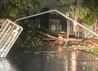 Temporal derruba árvore e causa transtornos na Zona Centro-Oeste de Manaus
