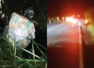 Ultrapassagem irregular causa acidente grave entre caminhão e motocicleta na AM 010 no Amazonas