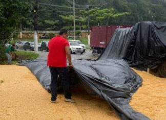 Caminhão carregado de milho tomba e complica trânsito na Avenida do Turismo em Manaus