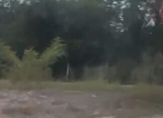Homens são flagrados em ato sexual em matagal perto do Distrito Industrial em Manaus