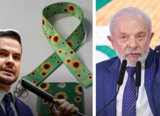 Lula veta distribuição do cordão de girassóis pelo SUS- símbolo de identificação de pessoas com deficiências ocultas-