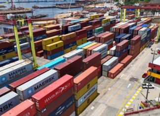 Amazonas encerra 2025 com avanços econômicos, geração de empregos e fortalecimento da bioeconomia
