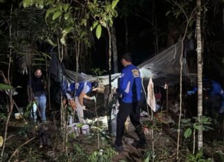 Corpo de mulher é encontrado em área de mata da Ufam