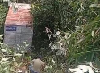 Caminhão sai da pista e invade área de mata próxima ao Musa na Zona Leste de Manaus