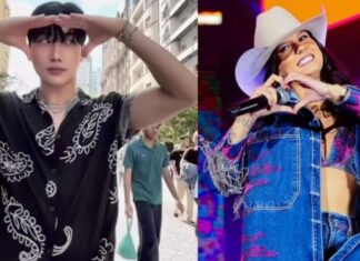 Comentário de sul-coreano em post de Ana Castela agita redes e gera especulações