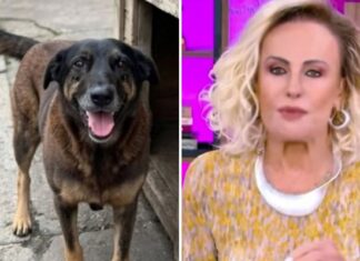 Ana Maria se revolta e cobra punição após morte do cão Orelha: ‘Cidadãos desprezíveis e perigosos’