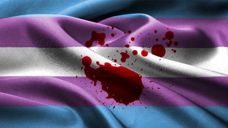 bandeira-trans_Lena-Balk_Unplash