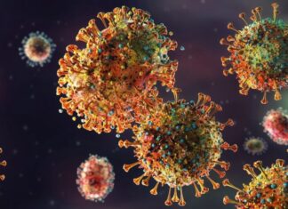 Índia registra surto de vírus letal e coloca sistema de saúde em alerta