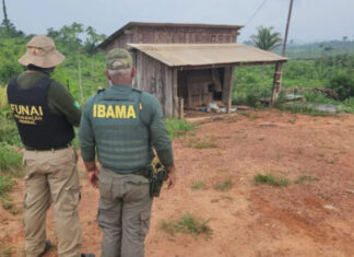 PF prende suspeito de assassinato de colaborador do Ibama em Terra Indígena Apyterewa