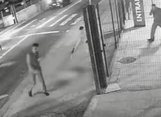 Cachorro é executado com dez tiros em ponto de ônibus na Zona Leste de SP; imagens chocam