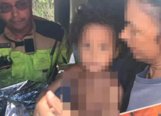 Menina de 4 anos desaparecida em mata é encontrada viva em Minas Gerais