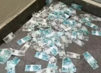 Alvo da “Operação Barco de Papel” arremessa mala com dinheiro por janela durante ação da PF