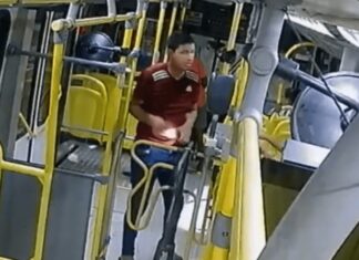 Polícia divulga imagens de dupla suspeita de assalto a ônibus no Centro de Manaus