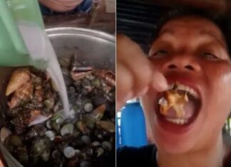 Influenciadora morre após comer caranguejo venenoso