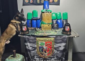 Jovem de 19 anos é flagrada com 60 kg de cocaína em ferry boat rumo a Manaus