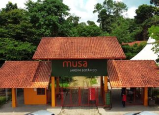 Dois suspeitos de assalto no Musa são presos após anunciar câmera roubada online