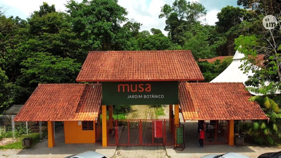 musa-museu-da-amazonia-1024x576