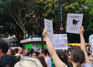 Protesto na Avenida Paulista pede justiça por cão Orelha e levanta debate sobre maioridade penal