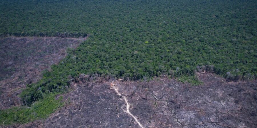 Áreas protegidas na Amazônia Legal sob forte pressão de desmatamento