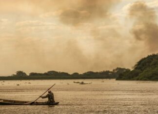 Plano Clima é publicado como guia para economia de baixo carbono no Brasil
