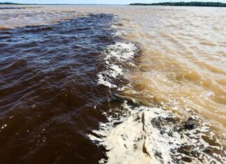 Tragédia no Amazonas: naufrágio deixa dois mortos e sete desaparecidos próximo a Manaus