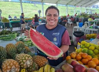 Feiras regionais de Manaus alteram cronograma por causa do Carnaval; veja novas datas e horários