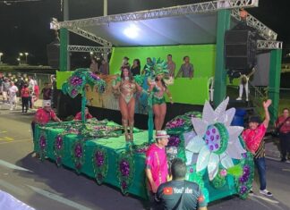 Carnaval do Povão 2026: Escolas do Grupo Experimental desfilam neste fim de semana em Manaus