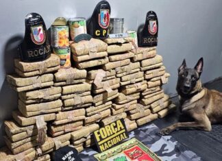 Base Arpão 2: Polícia Militar apreende mais de 70 kg de drogas em tubos de PVC e latas