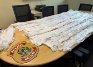 PF prende dupla em Manaus ao tentar enviar cocaína líquida escondida em edredons para a Austrália