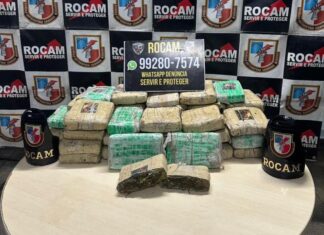 Após denúncia anônima, Rocam apreende 42 tabletes de maconha no Aleixo