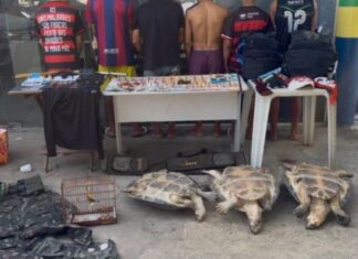 Sete homens são presos em Carauari com drogas, armas e animais silvestres