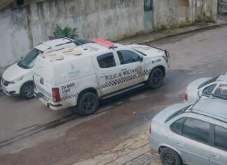 PM é preso após atropelar e matar dois cães com viatura em Manaus