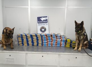 Receita Federal encontra 100 kg de skunk em carga de açaí no Aeroporto de Manaus