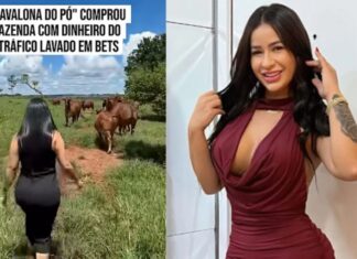 Influenciadora de Manaus conhecida como “Cavalona do Pó” é investigada por usar loja e bets para lavar dinheiro