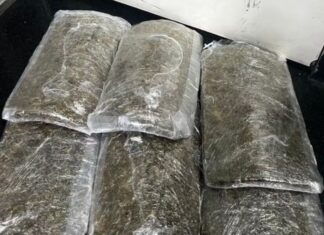 Passageiro é preso com 3 kg de skunk no Aeroporto de Manaus