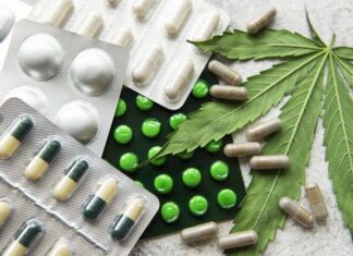 Estudo aponta que compostos da cannabis podem reverter gordura no fígado